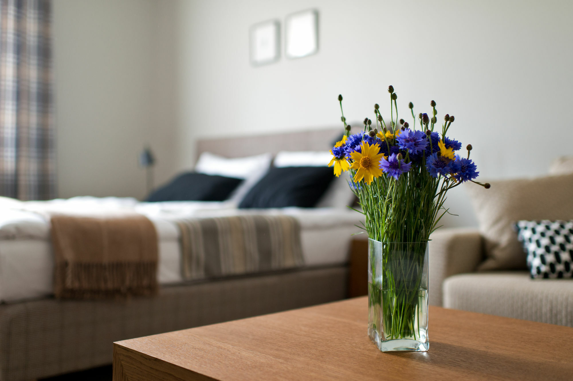Palanga Visit Apartments And Spa Exterior photo
